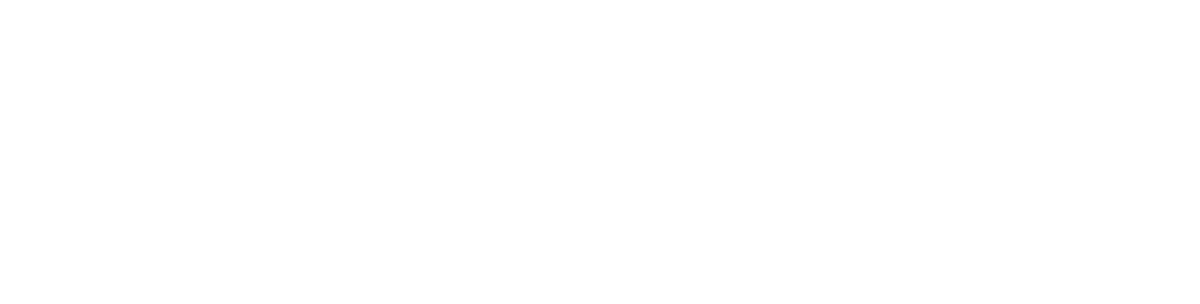 Maven Media Strategies